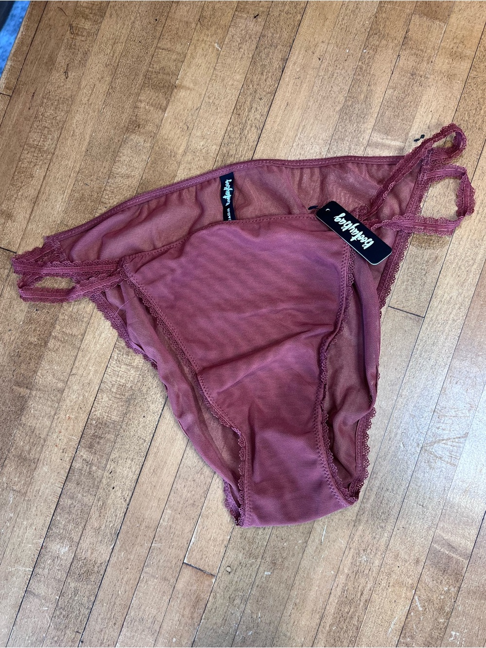 NWT Bootaybag Sheer Bikini Briefs in Dusty Rose